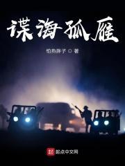 谍海孤雁txt百度资源